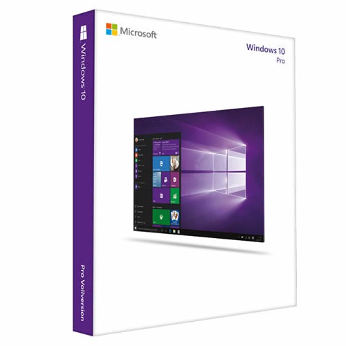 Microsoft Windows 10 Professional / Download